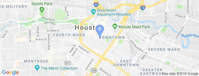 Bronze Peacock At The House Of Blues 